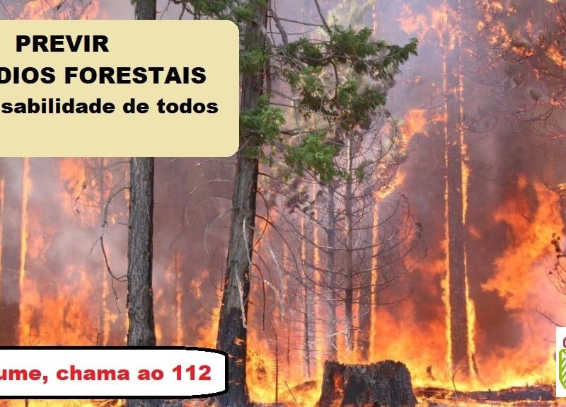 Recordatorio de los deberes sobre medidas preventivas contra los incendios forestales