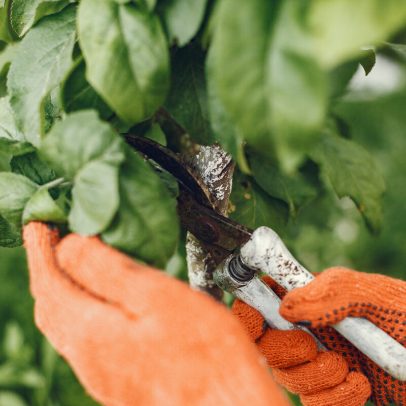 Resolución de Alcaldía.- Contratación de aspirantes que superaron o proceso selectivo Obradoiro dual de emprego Ourense Metropolitano 2024 (Docente de instalación e mantemento de xardíns e zonas verdes)